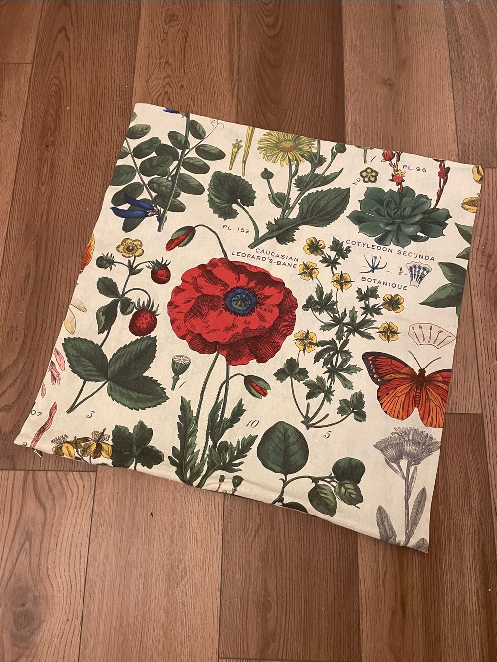 POTTERY BARN Botanical Poppy Floral Multi 24” x 24” Pillow Cover | EUC